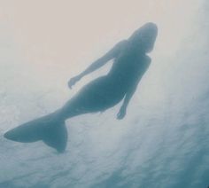 a person is swimming in the water with a large fish behind them and their shadow on the water surface