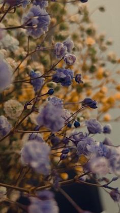 purple and yellow flowers are in a black vase