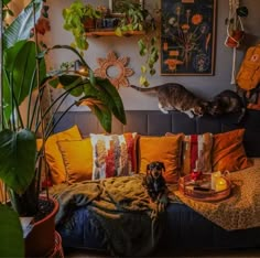 two cats are standing on the back of a couch in a living room with plants