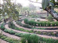 a circular garden with lots of plants growing in it