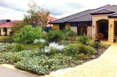 the front yard of a house with landscaping