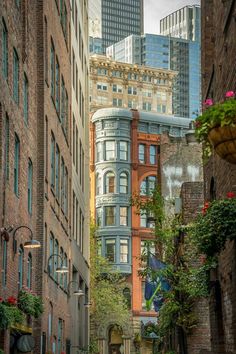 an alleyway in the city with tall buildings and flowers growing on it's sides