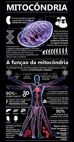 the anatomy of the human body and its functions in it, as well as some other things