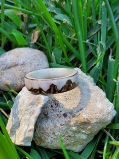 a ring sitting on top of a rock in the grass