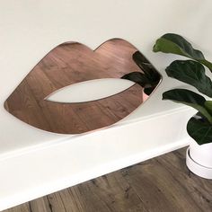 a mirror that is on the side of a wall next to a potted plant