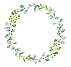 watercolor painting of green leaves and branches in a circle on a white background with space for text