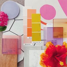 various color samples and flowers on the floor next to each other, including orange, pink, yellow, and purple