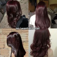 Red Hair In Brown Hair, Dyed Hair Ideas For Brown Hair, Ethereal Hair Color, Dark Hair Dye Colors, Strawberry Chocolate Hair, Dark Red Hair No Bleach, Reddish Black Hair, Hair Color For Warm Skin Tones, Hair Color Swatches