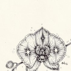 a black and white drawing of a flower