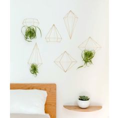 some plants are hanging on the wall above a bed