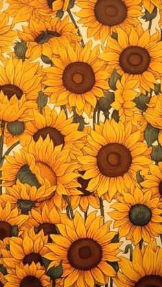 sunflowers painted on a white background with green leaves and brown centers in the center