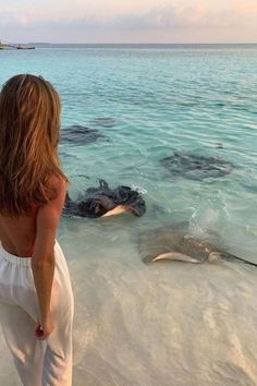 a woman standing in the water looking at a stingfish