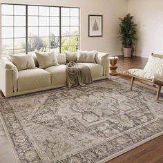 a living room with a large rug on the floor and windows in the back ground