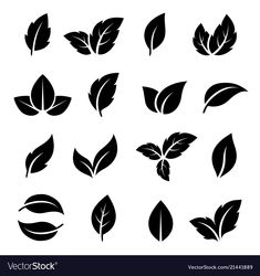 black and white leaf silhouettes on a white background, set of nine different leaves