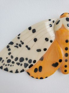 an orange and black butterfly with spots on it's wings, sitting on a white surface