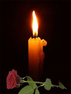 a single red rose sitting next to a lit candle