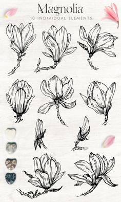 the flowers are drawn in black and white