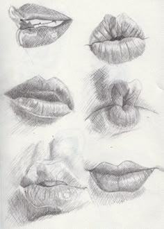 some lips that are drawn in pencil and have different angles to the lip, mouth and nose