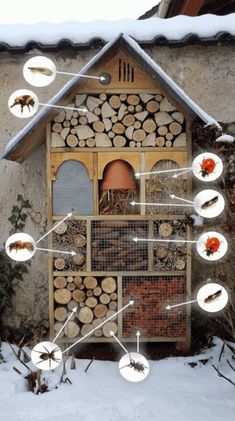 a house made out of wood with different types of insects around it and on the roof