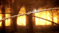 a barbed wire fence in front of a forest filled with trees and yellow fire lights