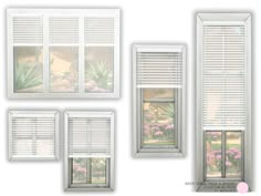 four different types of windows with blinds on each side and flowers in the window sill