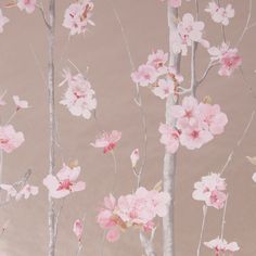 pink flowers and white branches against a light brown wallpaper with no leaves on it