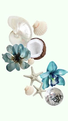 an arrangement of seashells, flowers and a disco ball on a white background