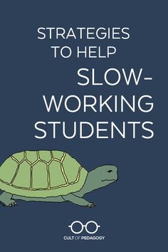 an image of a turtle with the words,'strategies to help slow working students '