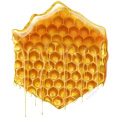 a honeycomb with dripping syrup on it