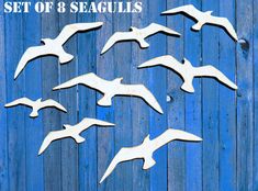 six seagulls are flying in the air on a blue wooden background with text that reads set of 8