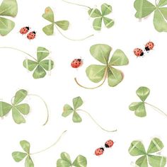 four leaf clovers with ladybugs on them are arranged in the shape of shamrocks