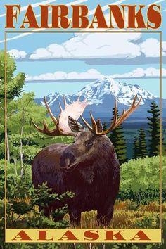 a moose is standing in the grass with mountains in the background and text that reads talkeetna alaska