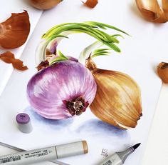 an onion and garlic drawing on paper with markers