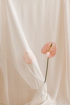 a pink flower in a white vase on top of a cloth covered table with curtains behind it