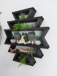 a wall shelf with plants and other decorations on it's sides next to a potted plant