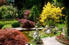 a garden filled with lots of different types of flowers and plants next to a pond