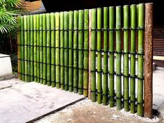 a bamboo fence is shown in front of a building with trees and bushes behind it