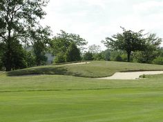 a person on a golf course about to hit the ball