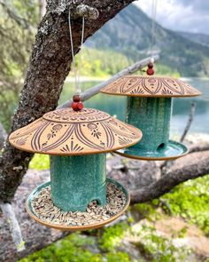 two green bird feeders hanging from a tree