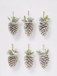 six pine cones are hanging on the wall