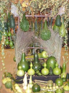 an assortment of fruits and vegetables on display in a room with greenery hanging from the ceiling