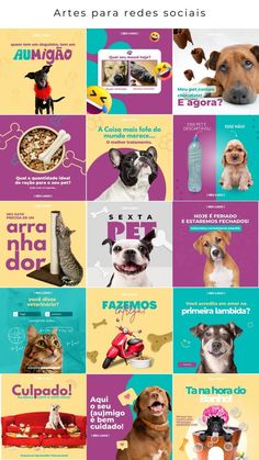 the spanish language poster shows dogs and cats in different colors, sizes, and shapes