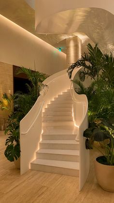 a white staircase with plants and potted plants next to it in a large room