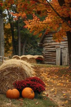 pumpkins and hay bales in the fall