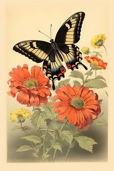 a butterfly sitting on top of an orange flower next to yellow and red daisies