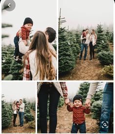 a family holding hands and walking through a christmas tree farm