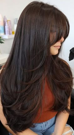 Haircut Inspo, Haircuts For Long Hair With Layers, Hair Inspiration Long, Hairstyles For Layered Hair, Long Layered Haircuts, Long Brown Hair, Haircuts For Medium Hair, Haircuts Straight Hair, Long Hair With Bangs