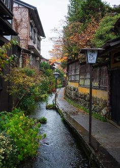 a small stream running between two buildings in an alleyway with lots of greenery on both sides