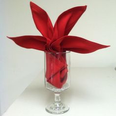 a red flower in a clear glass vase