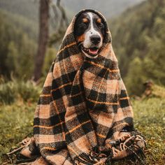 a dog wrapped up in a blanket sitting on the ground with mountains in the background